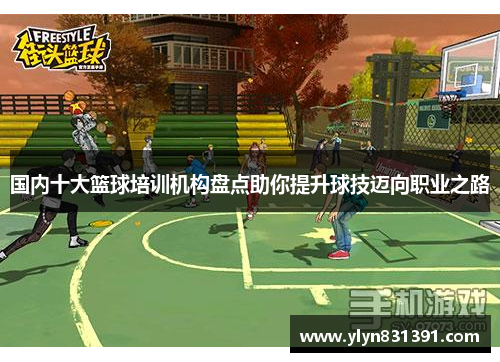 国内十大篮球培训机构盘点助你提升球技迈向职业之路
