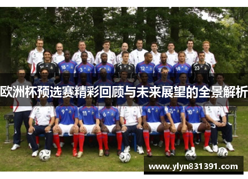 欧洲杯预选赛精彩回顾与未来展望的全景解析