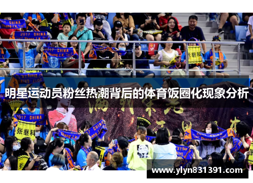 明星运动员粉丝热潮背后的体育饭圈化现象分析
