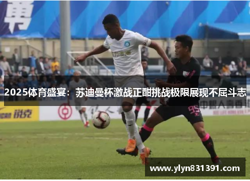 2025体育盛宴：苏迪曼杯激战正酣挑战极限展现不屈斗志