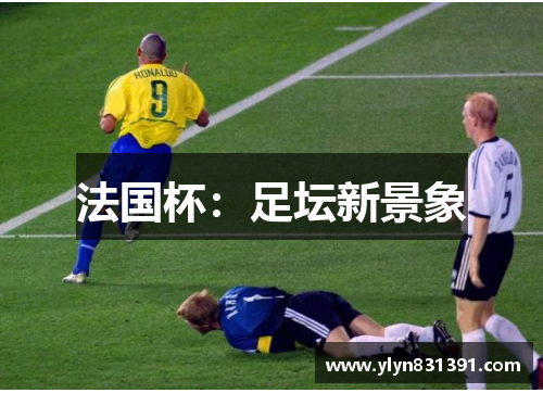 法国杯：足坛新景象