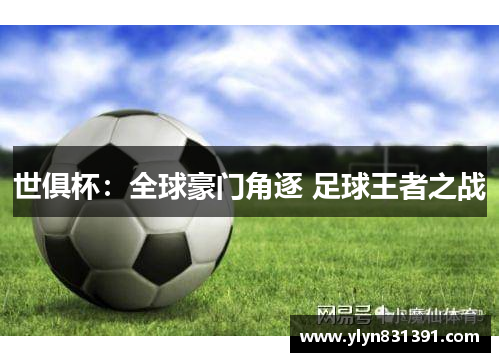 世俱杯：全球豪门角逐 足球王者之战