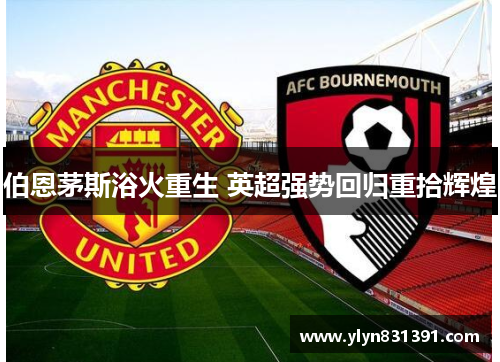 伯恩茅斯浴火重生 英超强势回归重拾辉煌